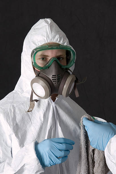 Professional Mold Removal in Rupert, WV